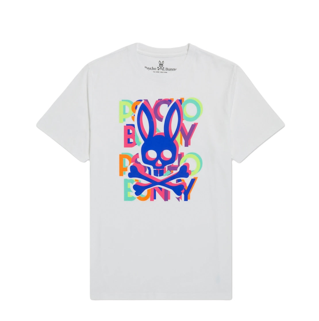 MENS HUDSON MULTICOLOR TEE